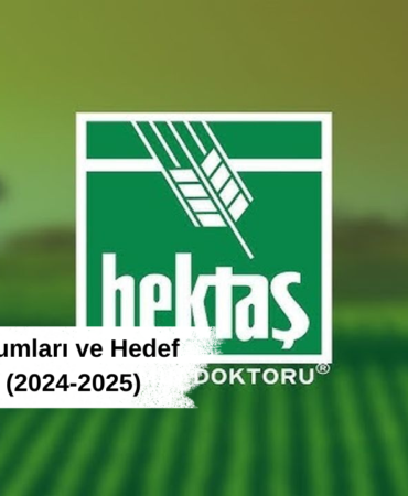 HEKTAŞ Hisse Yorumları ve Hedef Fiyat Tahminleri (2024-2025)