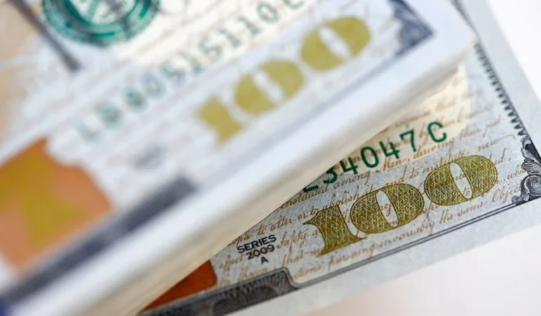 Norveç Varlık Fonu Türk Hisseleri