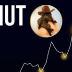 PNUT Coin Yorum! PNUT Hedef Fiyat!