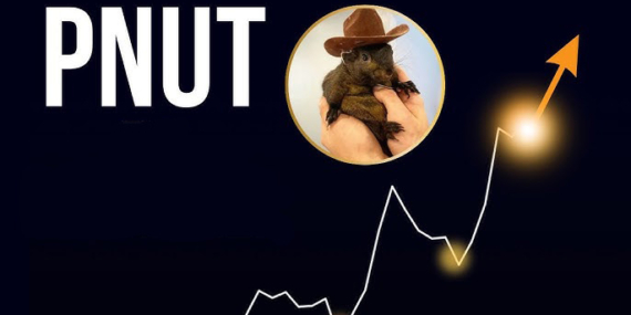 PNUT Coin Yorum! PNUT Hedef Fiyat!