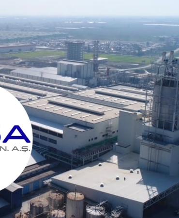 SASA Polyester (sasa) Lot Sayısı