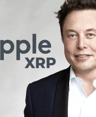 Elon-Musk-and-XRP-Partnership-Exists-Fact-Check.png