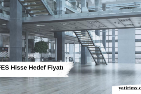 AEFES Hisse Hedef Fiyatı 2024