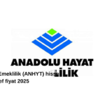 Anadolu Hayat Emeklilik (ANHYT) hisse hedef fiyat 2025