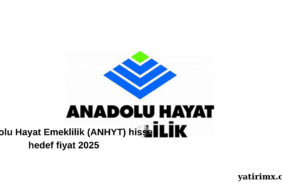 Anadolu Hayat Emeklilik (ANHYT) hisse hedef fiyat 2025