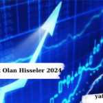 Lot Sayısı Az Olan Hisseler 2024