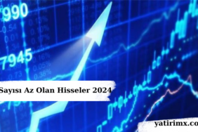 Lot Sayısı Az Olan Hisseler 2024