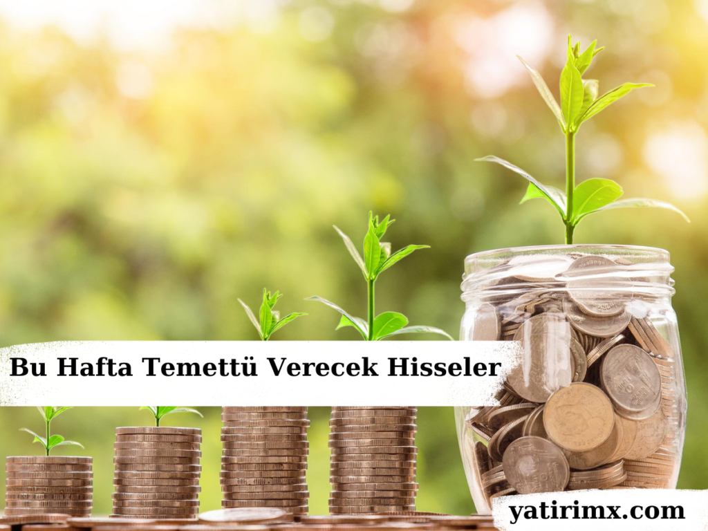 SASA Hedef Fiyat 2024, 2025 | SASA Hisse Yorum