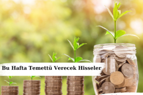 SASA Hedef Fiyat 2024, 2025 | SASA Hisse Yorum