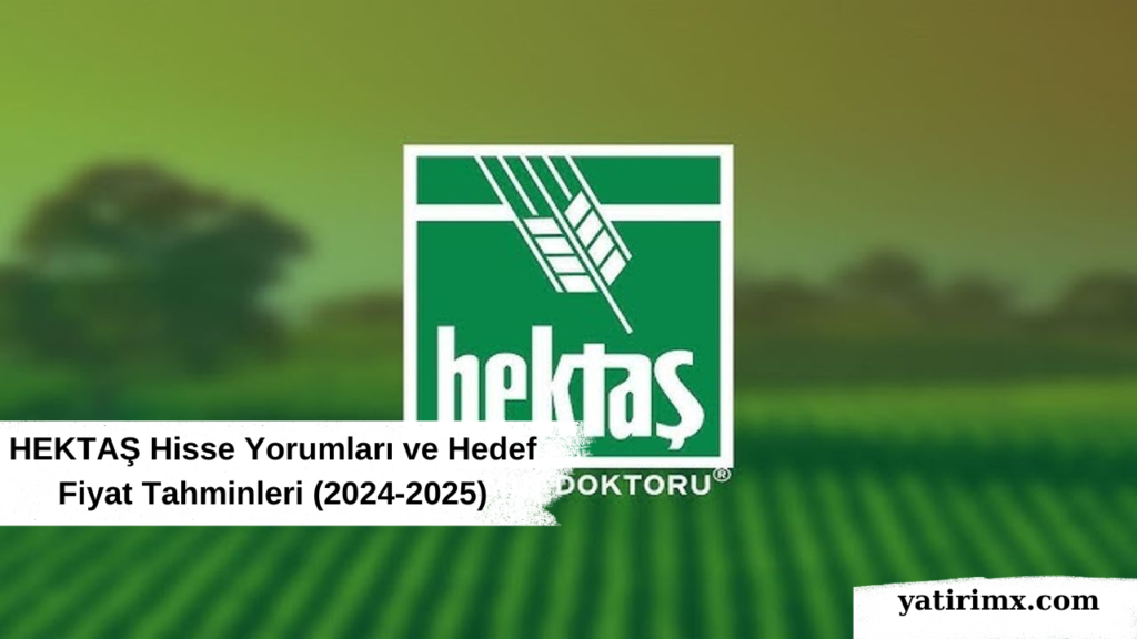 HEKTAŞ Hisse Yorumları ve Hedef Fiyat Tahminleri (2024-2025)