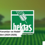 HEKTAŞ Hisse Yorumları ve Hedef Fiyat Tahminleri (2024-2025)