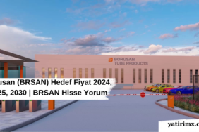 Borusan (BRSAN) Hedef Fiyat 2024, 2025, 2030 BRSAN Hisse Yorum