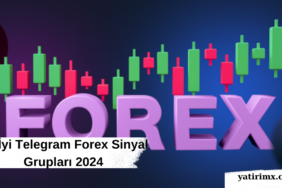 En İyi Telegram Forex Sinyal Grupları 2024