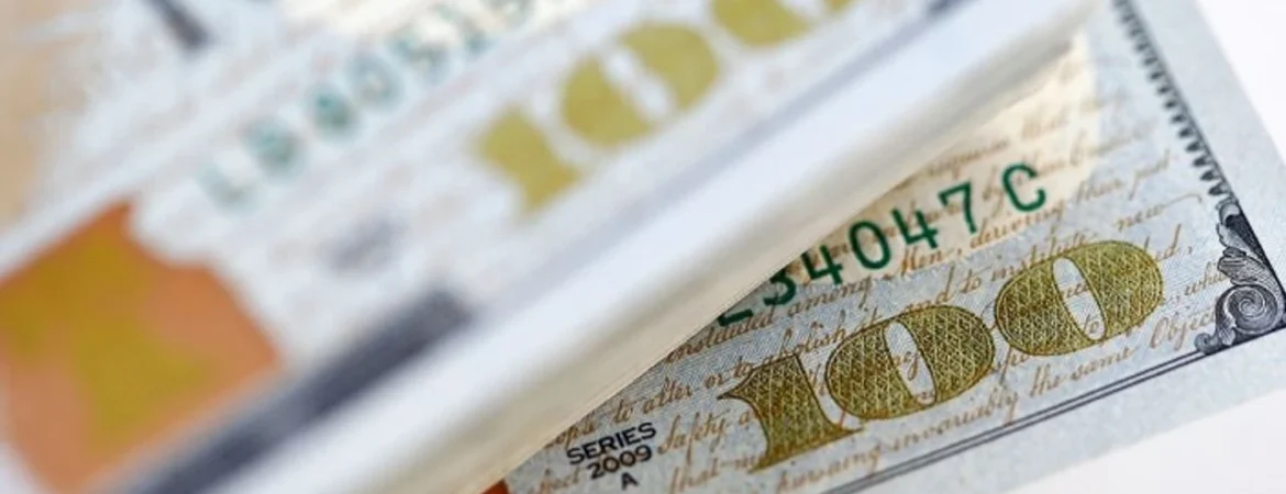 Norveç Varlık Fonu Türk Hisseleri