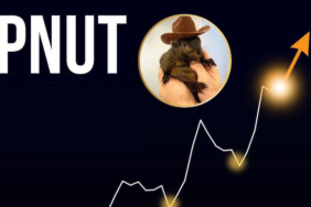 PNUT Coin Yorum! PNUT Hedef Fiyat!