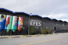 aefes