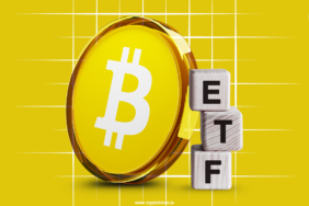 Bitcoin-ETFs-See-Biggest-Inflow-in-Two-Months-as-Price-Hits-90k.jpg