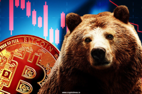 Bitcoin-Price-on-Crossroad-BTC-Investors-Turning-Bearish.jpg