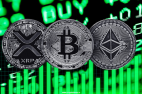 Crypto-bull-run-is-back-BTC-ETH-XRP-prices-are-going-up.png