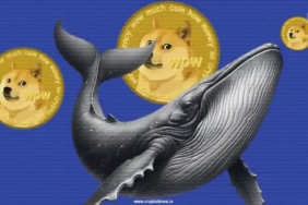 Dogecoin-Whales-Offload-570-million-DOGE-As-Price-Fails-To-Recover.jpg