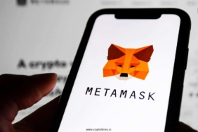 Metamask-Users-Stress-On-Wallet-Bug-Dev-Confirms-Its-Fixed.jpg