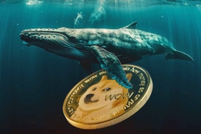 Whales-Drive-Dogecoin-Surge-Will-DOGE-Price-Hit-1-in-2025.jpg