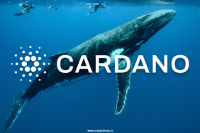 Whales-Dump-100M-ADA-as-Cardano-Faces-Key-Resistance-Level.png