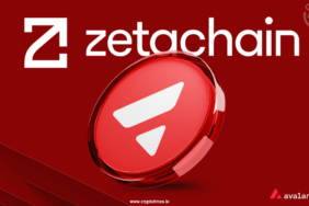 ZetaChain-Adds-Avalanche-Upscales-its-Universal-Blockchain-vision.jpg