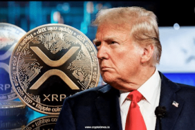 trump-xrp.png