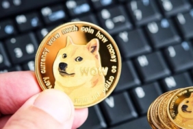 Dogecoin-Price-Rallies-12-Analysts-Eye-0.30-Target.jpg