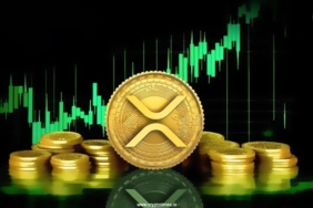 XRP-Price-Could-Surge-to-100-Reddit-User-Make-Bold-Claims.jpg