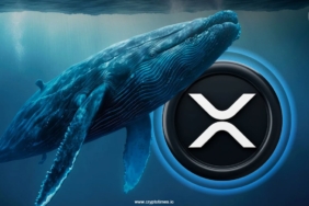 XRP-Whale-Sent-64M-to-Coinbase-Crash-to-2-Imminent.jpg